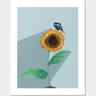 sunflower and buterfly Posters and Art